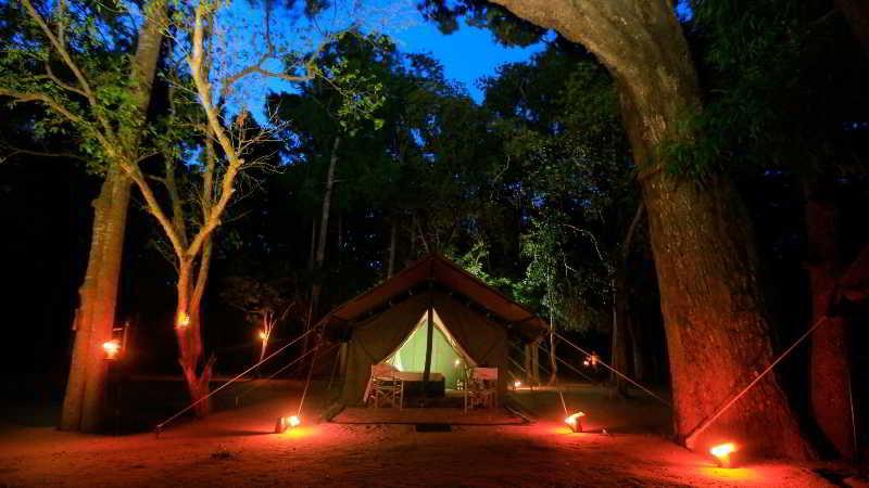 Leopard Trails 5* Yala