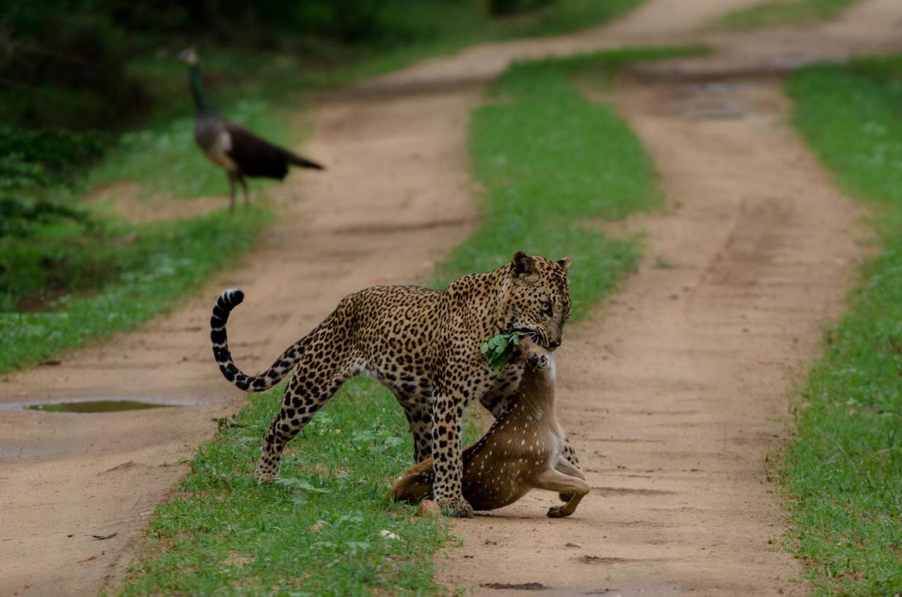 Leopard Trails Campingplatz